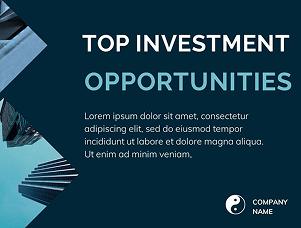 Investment Opportunities